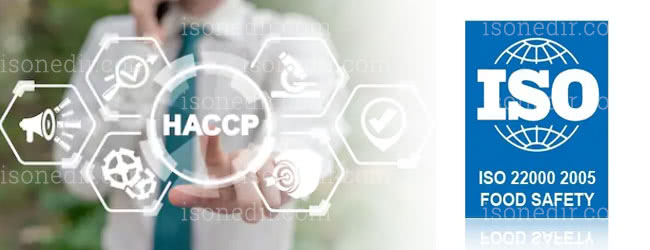 iso 22000 nedir